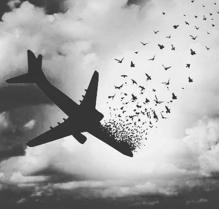 تعبیر خواب سقوط هواپیما