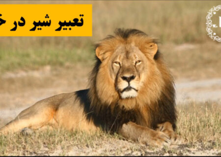 تعبیر خواب شیر