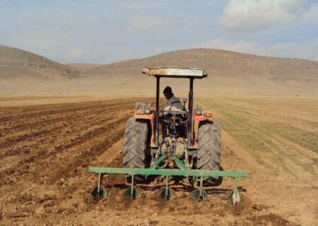 سید احمدی خبر داد: آغاز کشت پاییزه در خوزستان علی‌رغم خشکسالی بی‌سابقه
