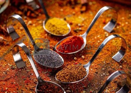 راهنمای کامل ادویه و چاشنی: از تاریخچه و انواع تا کاربرد در آشپزی