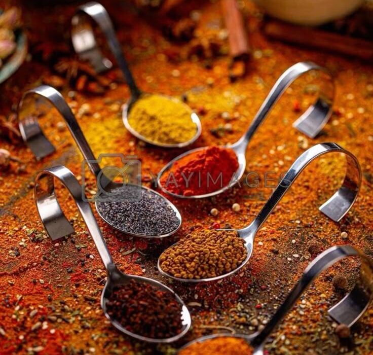 راهنمای کامل ادویه و چاشنی: از تاریخچه و انواع تا کاربرد در آشپزی