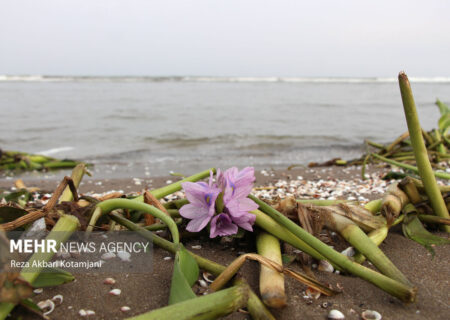 تغییرات سطح آب دریای خزر سناریوی زمین‌شناختی است