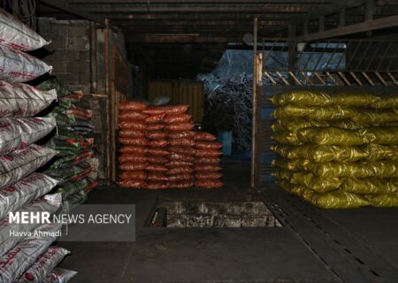 ۳۰۰ کیلوگرم زغال چوب فاقد مجوز در پلدختر کشف شد