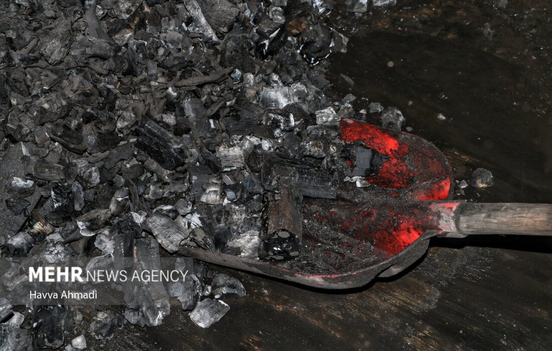 زغالگیری و قطع درختان جنگلی جرم محسوب میشود