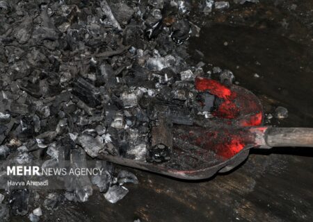 زغال‌گیری و قطع درختان جنگلی جرم محسوب می‌شود