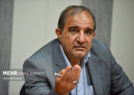 مجلس تاخیر در قیمت‌گذاری گندم را از رئیس‌جمهور پیگیری می‌کند