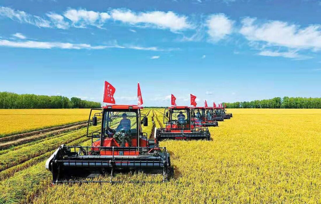 چین و تجاریسازی محصولات تراریخته کشاورزی