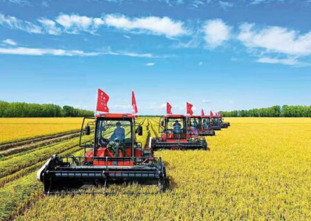 چین و تجاری‌سازی محصولات تراریخته کشاورزی