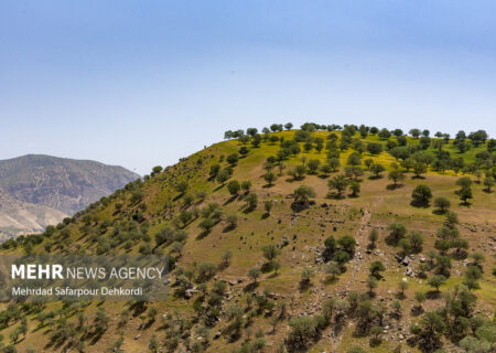 برگزاری هفتمین همایش ملی جنگل ایران در استان لرستان