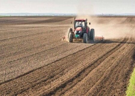 ۱۸ هزار هکتار از مزارع بابل زیرکشت پاییزه می رود