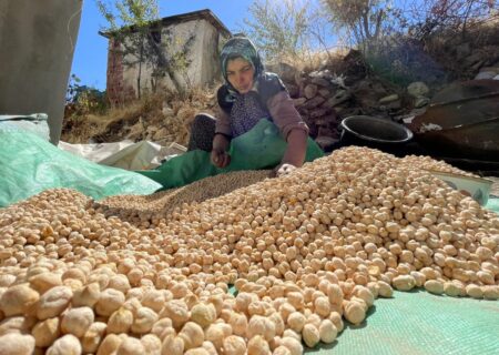 رونمایی از مستند «شفق» با موضوع نخودبریزی در خمینی‌شهر