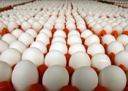اعلام قیمت جدید انواع تخم‌مرغ پوست سفید در بازار