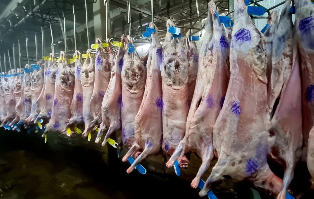 وضعیت کشتارگاه ایلام باید هرچه سریع‌تر روشن شود