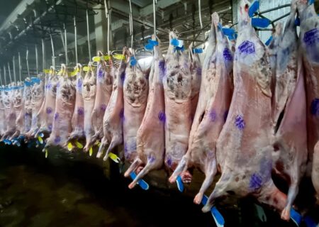 وضعیت کشتارگاه ایلام باید هرچه سریع‌تر روشن شود