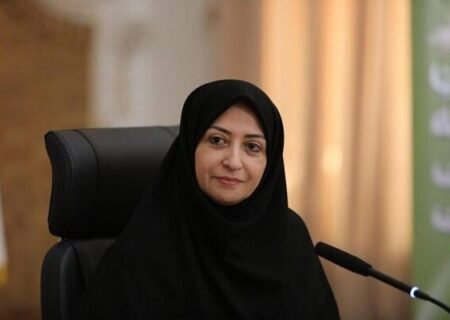 انصاری: امکان حل همزمان همه مشکلات زیست محیطی وجود ندارد