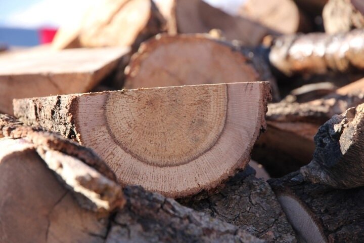 کشف محموله ۱۰ تنی چوب قاچاق در سنقر و کلیائی