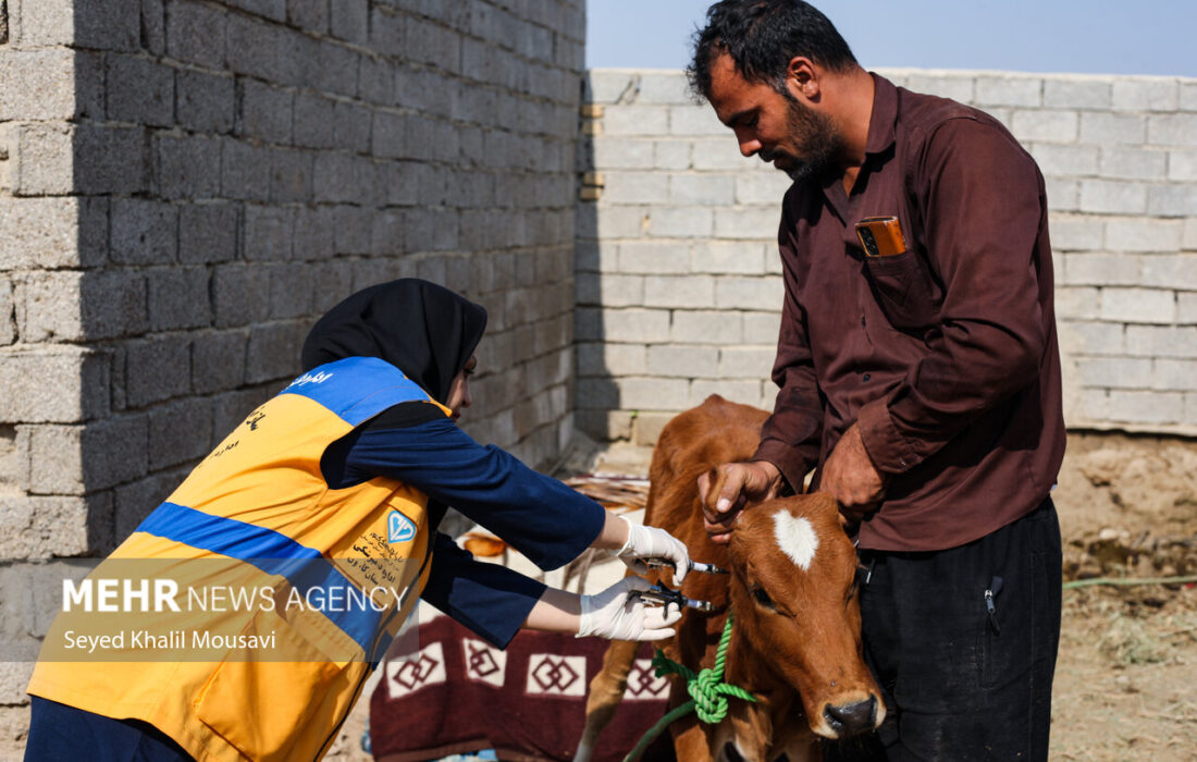 واکسیناسیون ۳۲ هزار پرنده در دماوند با هدف کاهش مرگ و میر ناشی از نیوکاسل