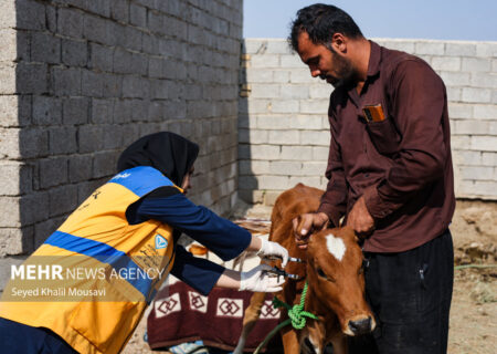 واکسیناسیون ۳۲ هزار پرنده در دماوند با هدف کاهش مرگ و میر ناشی از نیوکاسل