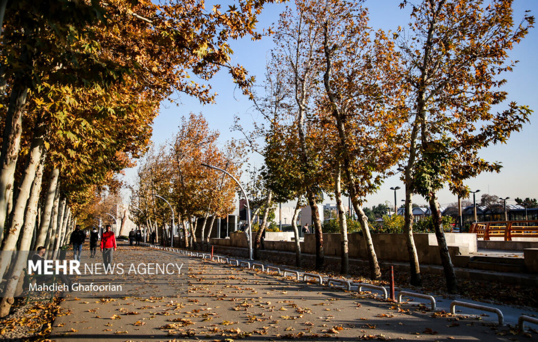 ماندگاری هوای خنک شبانه در خراسان رضوی
