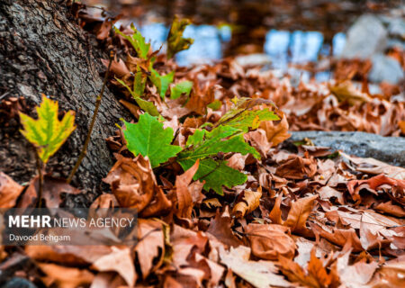 هوای خراسان رضوی پاییزی می شود؛کاهش چشمگیر دمای هوا