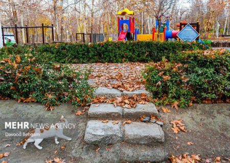 کاهش ۹ درجه ای دمای هوا در مشهد