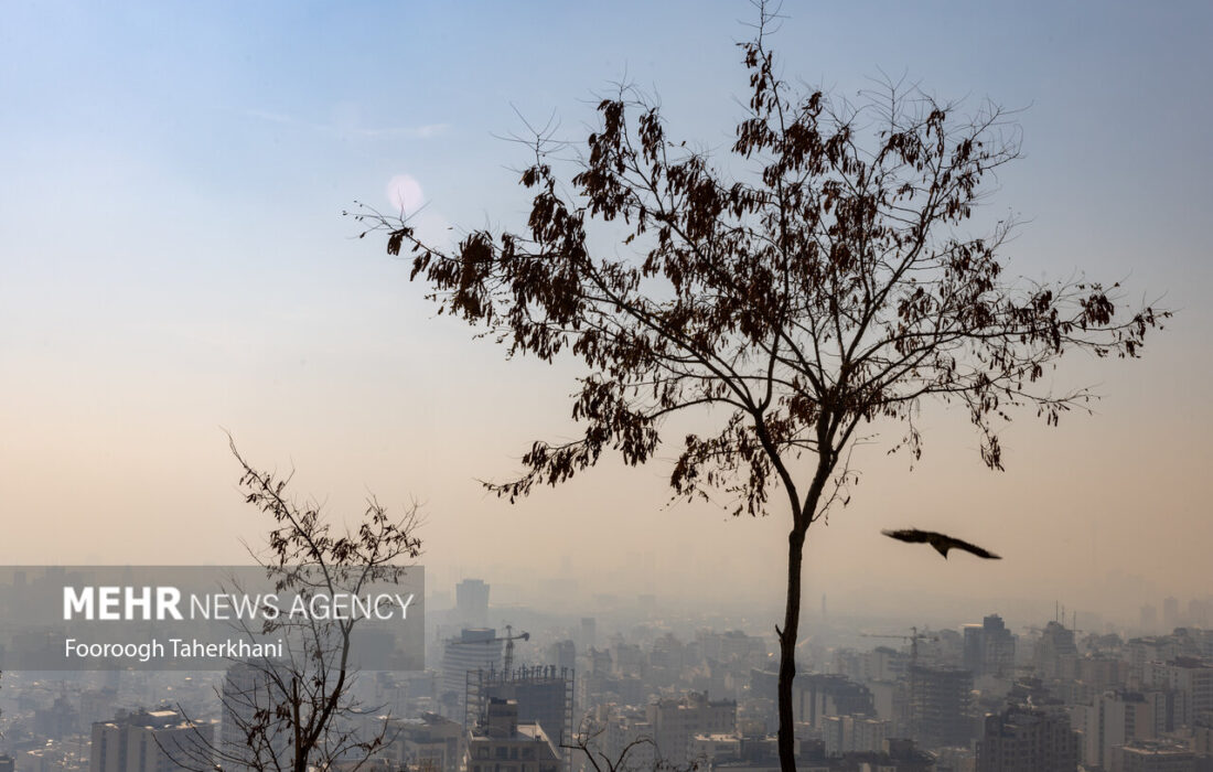 هوای تهران در وضعیت بسیار آلوده قرار دارد