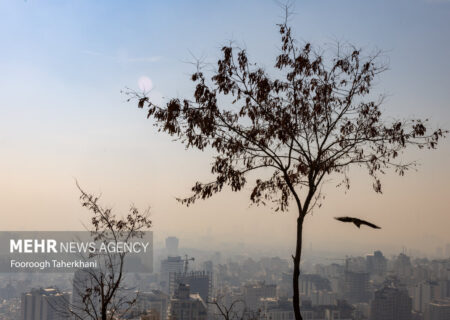 هوای تهران در وضعیت بسیار آلوده قرار دارد