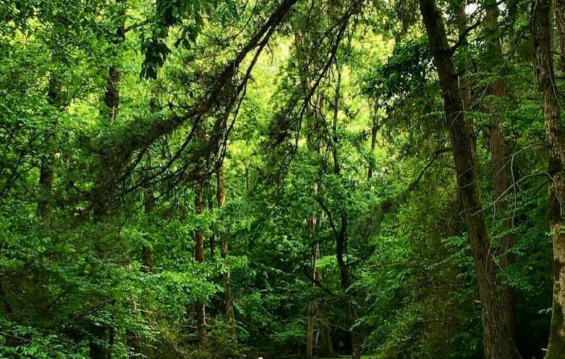 بهترین روستاهای گردشگری ایران