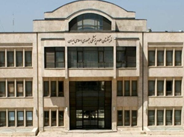 پیشنهاد مرندی به پزشکیان؛ ستاد ملی اصلاح نظام سلامت تشکیل شود