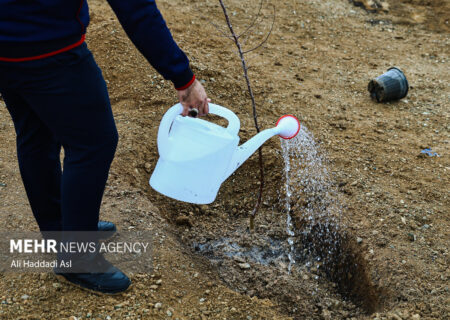 پویش درختکاری در مدارس استان سمنان