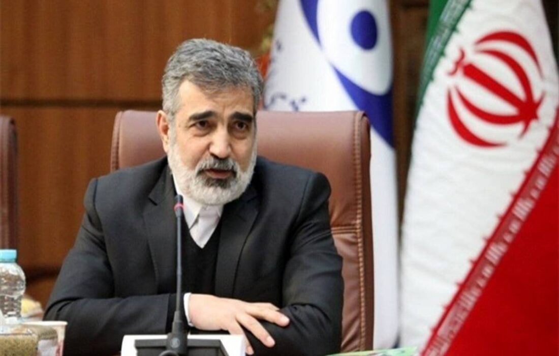 کمالوندی: برای تصویب قطعنامه پیشنهادی ایران تلاش می‌کنیم