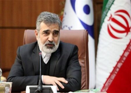 کمالوندی: برای تصویب قطعنامه پیشنهادی ایران تلاش می‌کنیم