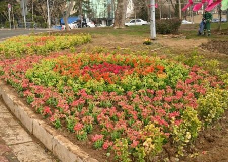 سرانه فضای سبز در شهرکرد مطلوب است