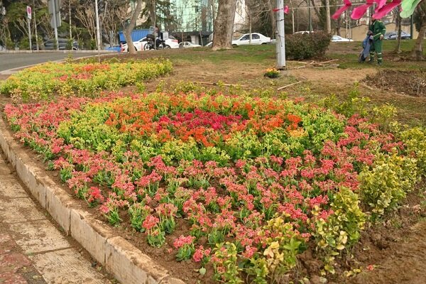 سرانه فضای سبز در شهرکرد مطلوب است