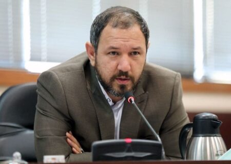 هیچ مقام دولتی حق دخالت در امور داخلی شوراها را ندارد