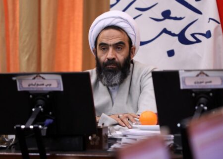 نقدعلی: دوگانه رفاه با تسلیم یا مقاومت با گرانی دروغ است