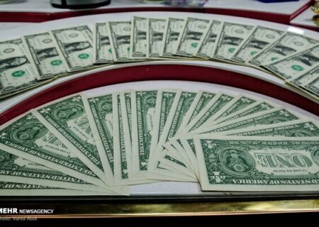 قیمت دلار و یورو ۲ مهر ۱۴۰۴؛ کنترل نرخ ارز رسمی کماکان ادامه دارد