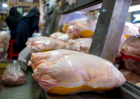 مرغ به قیمت کیلویی ۱۶۰ هزار تومان رسید؟/ پیش‌بینی زمان کاهش قیمت مرغ