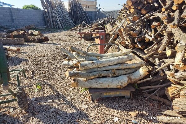 دستگیری ۵۹۵ متخلف منابع طبیعی در مازندران؛ تعارفی با سودجویان نداریم