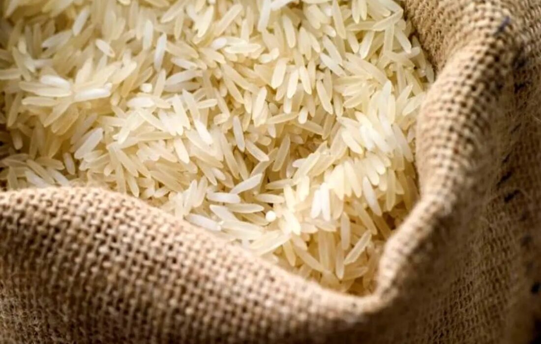 تامین ارز؛ حلقه مفقوده در زنجیره واردات برنج