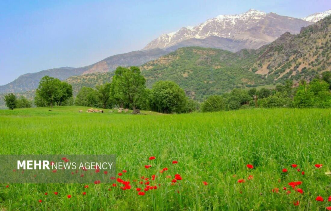 هشدار دادستان شهرستان نمین به متجاوزین منابع طبیعی