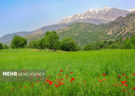 هشدار دادستان شهرستان نمین به متجاوزین منابع طبیعی