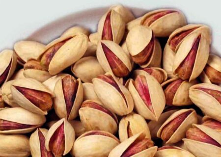 پیش بینی برداشت ۹ هزار تن پسته از باغ‌های قم