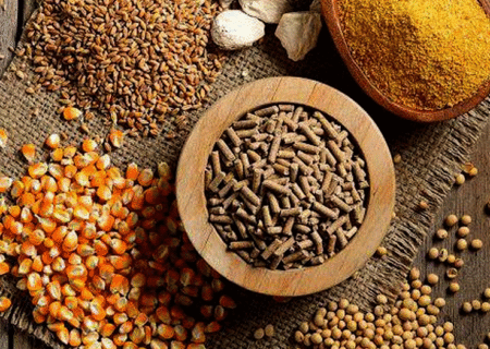 کشف ۵ تن خوراک طیور بدون مجوز در الیگودرز