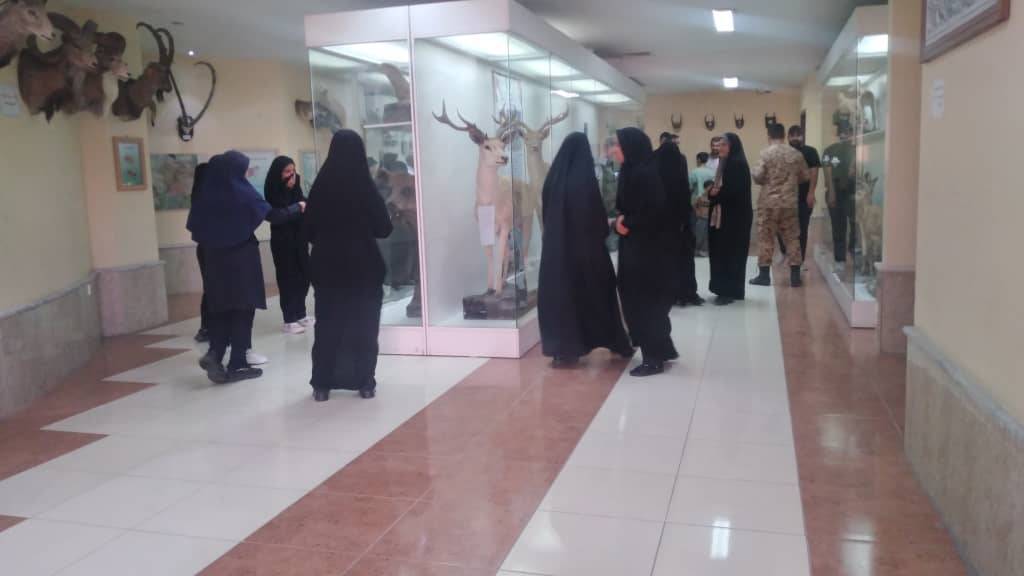 آشنایی بسیجیان چایپاره با گونه‌های بومی در موزه تاریخ طبیعی ارومیه