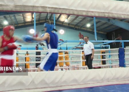 معرفی برترین رقابت‌های بوکس قم