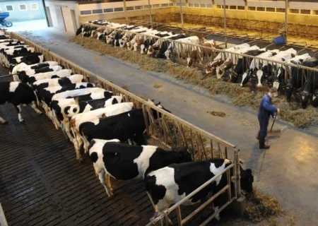 آغاز ساخت مرحله دوم شهرک دامپروری غیاث‌آباد فسا