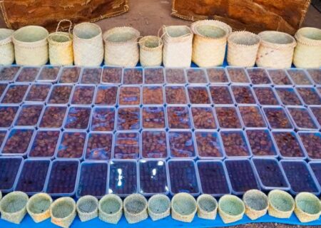 پایان جشنواره سه‌روزه خرما در بافق