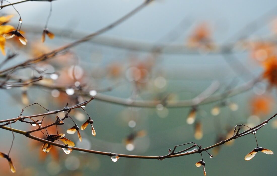 پیش بینی بارش های نرمال پاییز و زمستانی در خراسان جنوبی