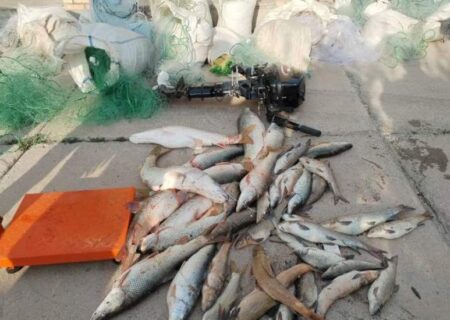 دستگیری ۲۱ نفر متخلف صید ماهی در کوثر